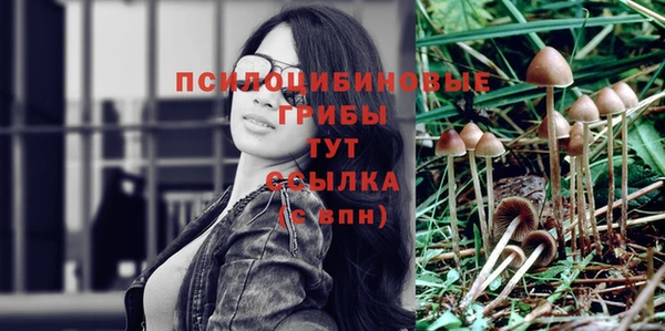экстази Аркадак